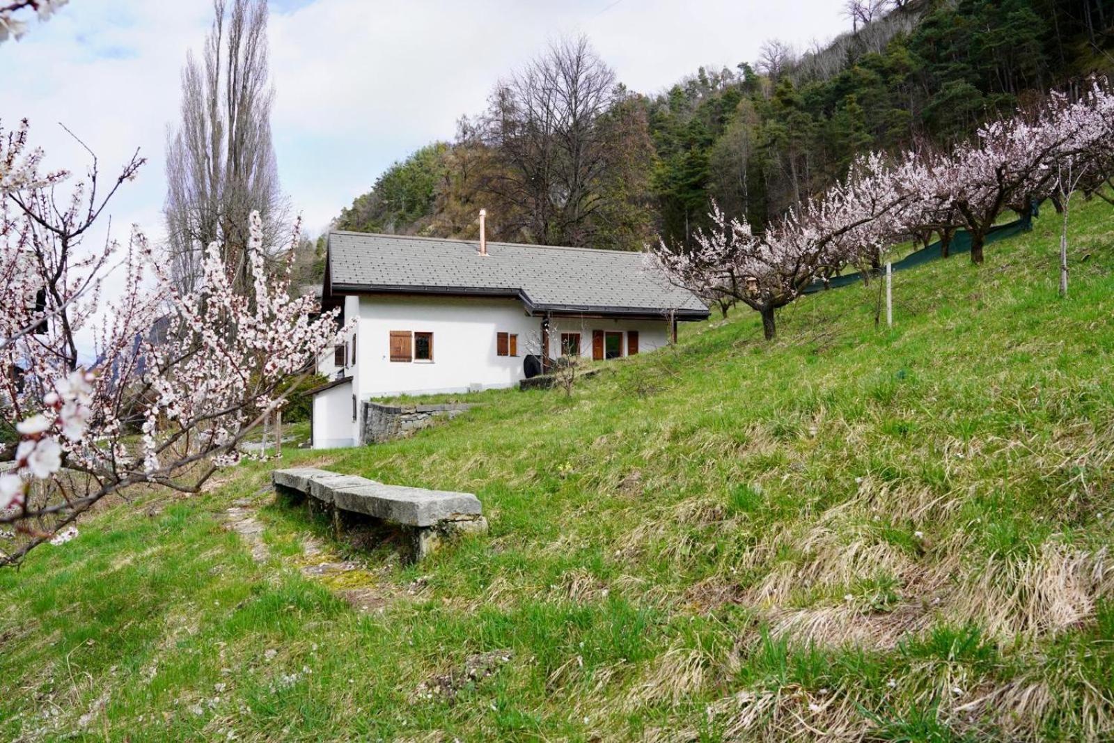 Maisonnette De Campagne Sião Exterior foto